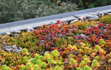 the cost of Bradfield Combust green roof installation