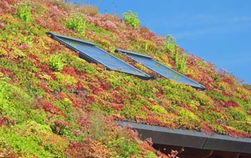 Bradfield Combust living roof systems