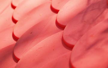 Bradfield Combust plastic roof costs