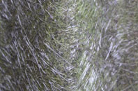 Bradfield Combust fibreglass roof work