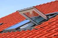 Bradfield Combust roof window